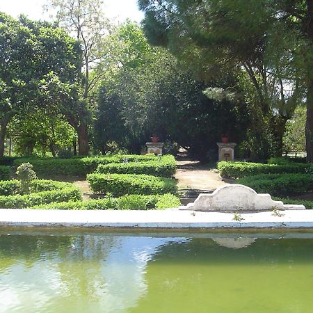 Hotel Rural Quinta De Santo Antonio Elvas Exterior photo